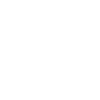 data icon