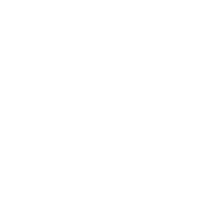 Google sso Icon